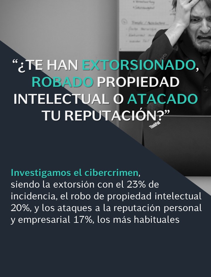 CIBERCRIMEN_verticalWEB
